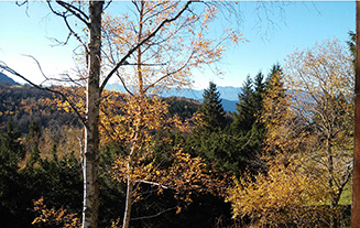 Automne a l'Alpe du Grand Serre location chalet